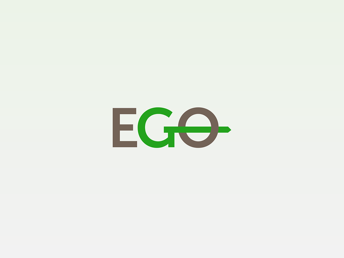 #48 ego